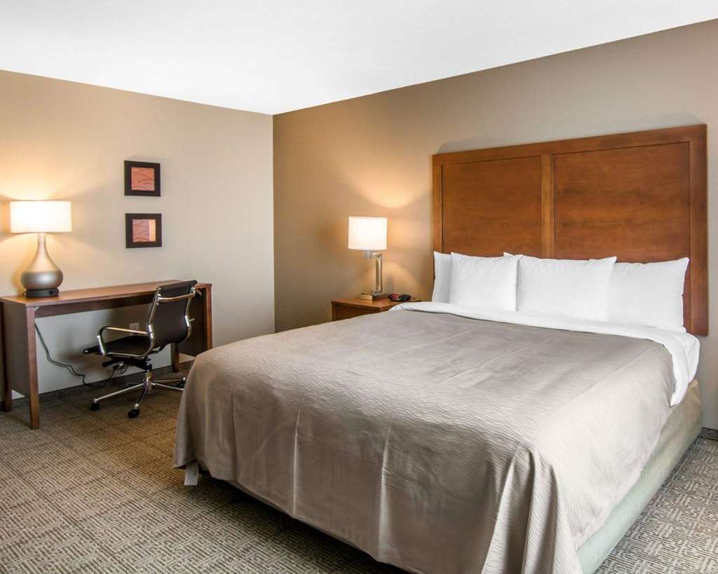 Comfort Inn South Chesterfield - Colonial Heights Bilik gambar